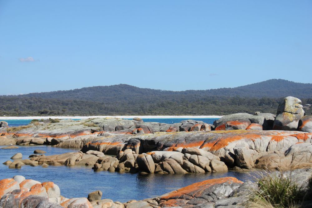IMG_5032bay of fires