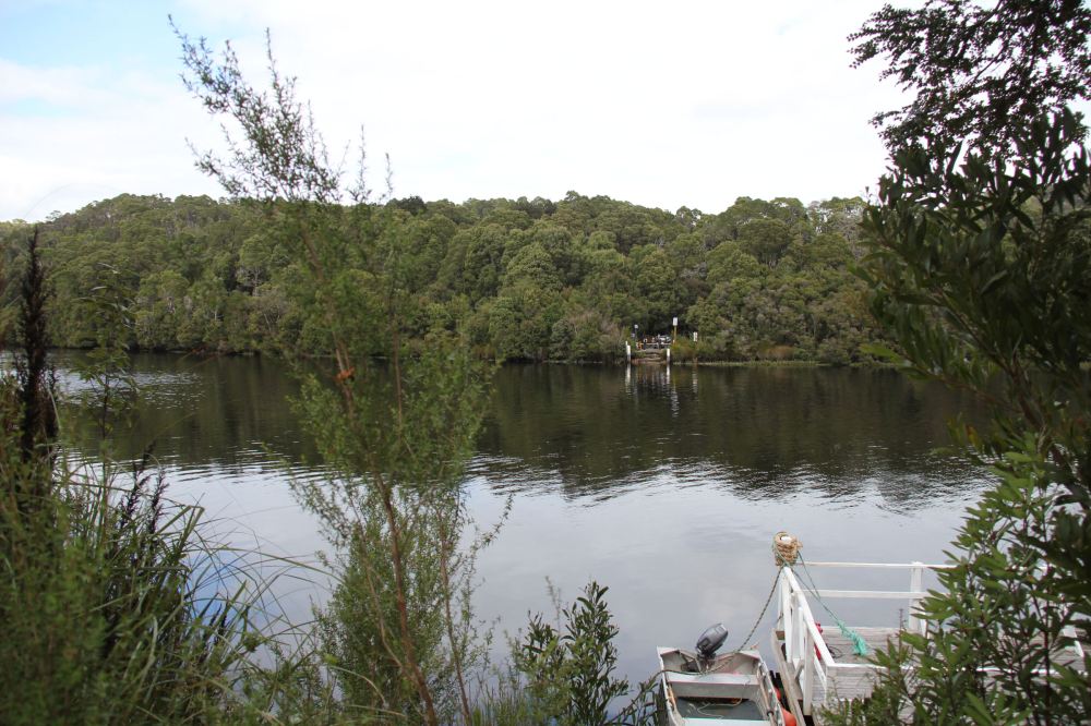 IMG_5205-pieman river