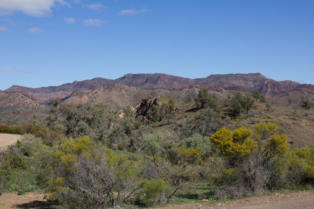 Angorichina (1 of 1)